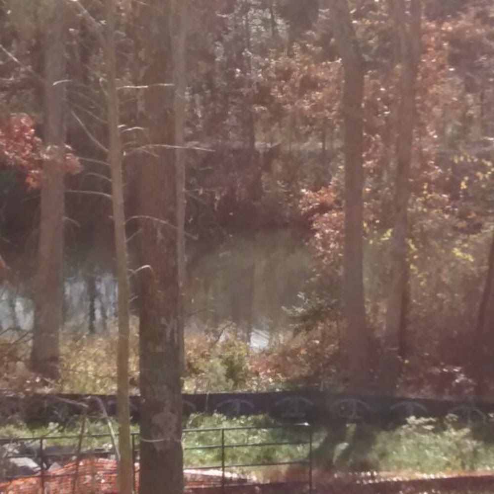 Meet your Posher, Bravell